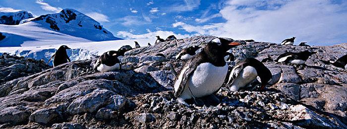 美女游戏《星刃》是半开放世界 游戏故事和细节公布