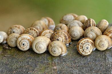 I社新《VR女友》游戏开启众筹 你的老婆需要钱了